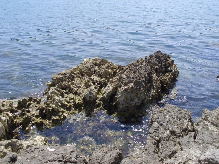 Rocky shoreline with jagged rocks protruding into calm blue waters under a clear sky.