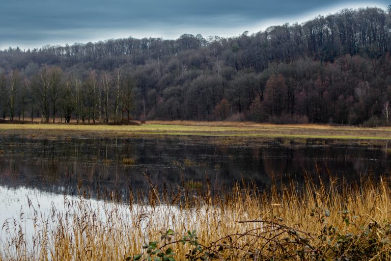 Flooded meadow at nature reserve The Deeps (De Diepen), with St. Johns Mountain (St. Jansberg) in the background and an overcast sky, Milsbeek, the Netherlands.