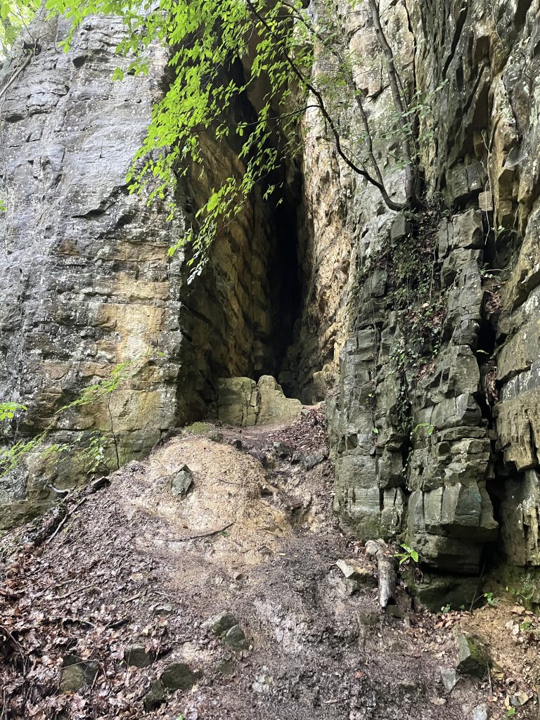 A path between cliffs in the forest