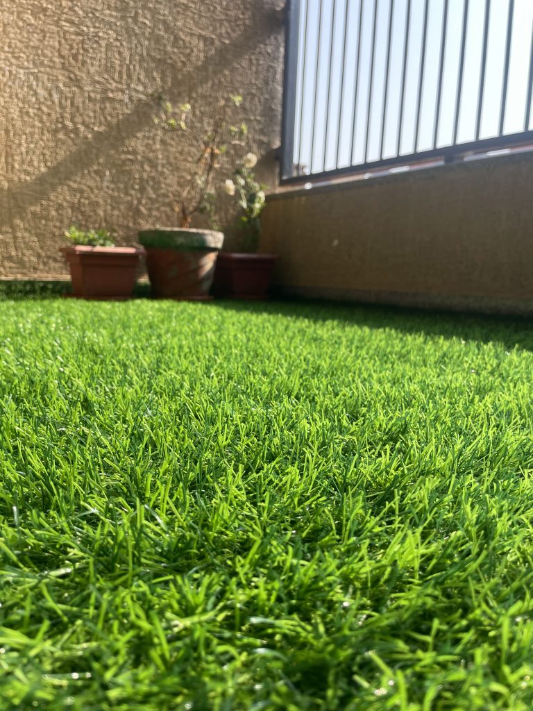 Grass floor by a wall and window