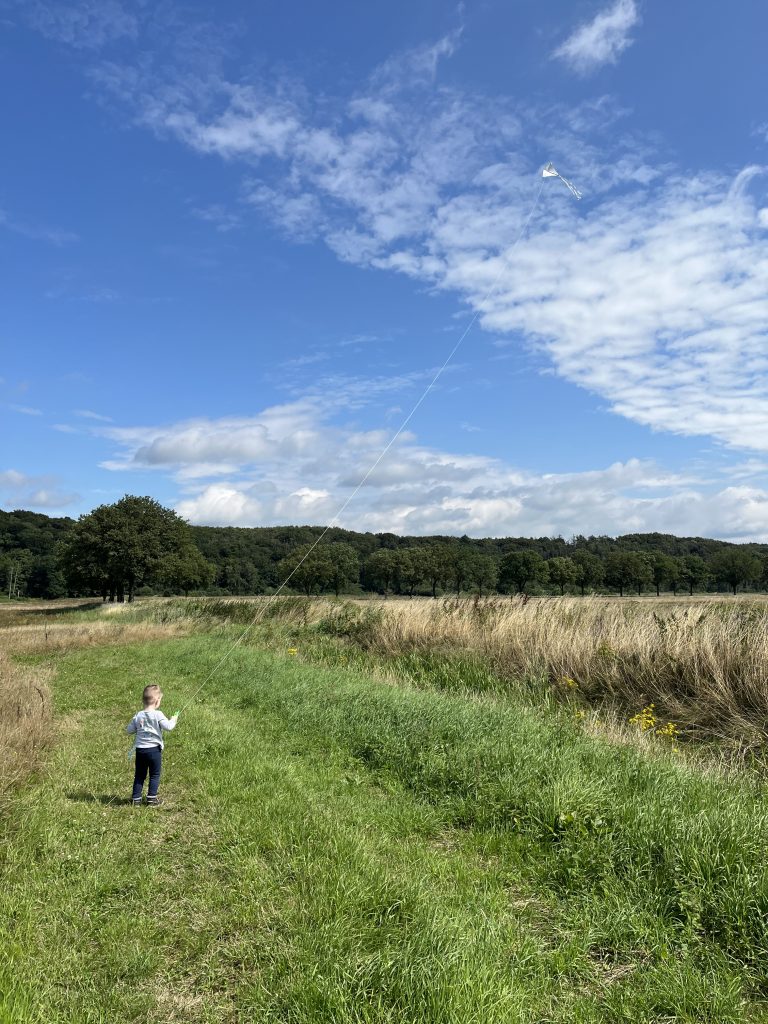 A child holding a kite in the air, standing in the grass, with trees in the background and a blue sky