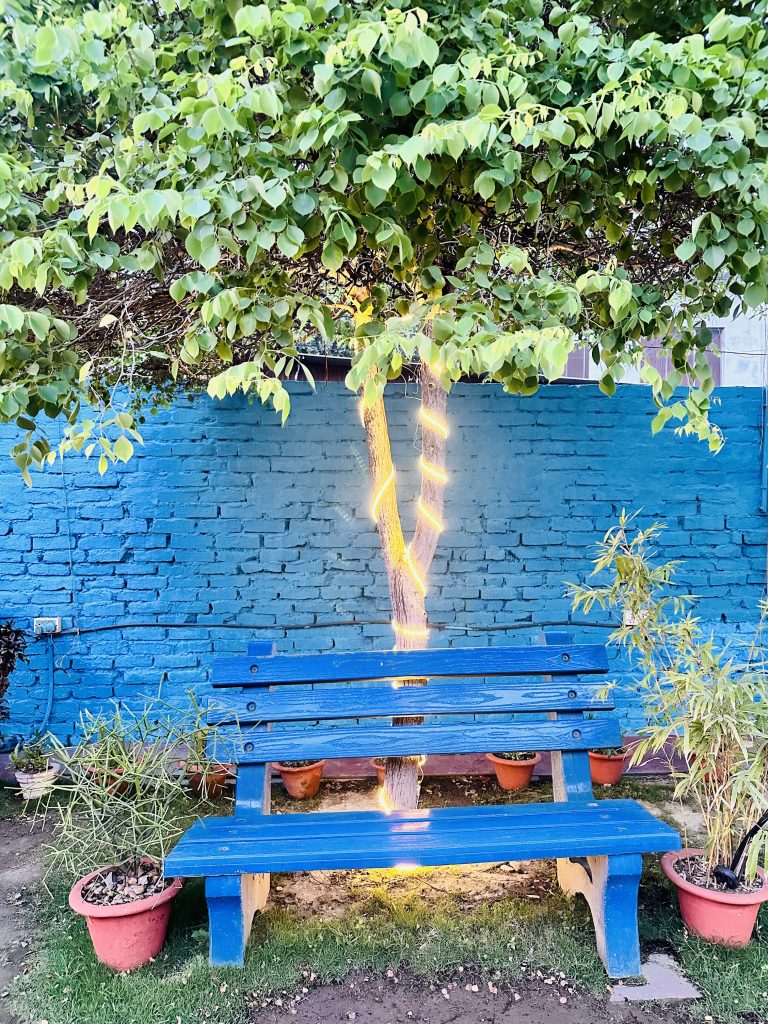 A wooden chair under a small tree in Nepal.