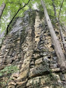 A cliff in the forest 