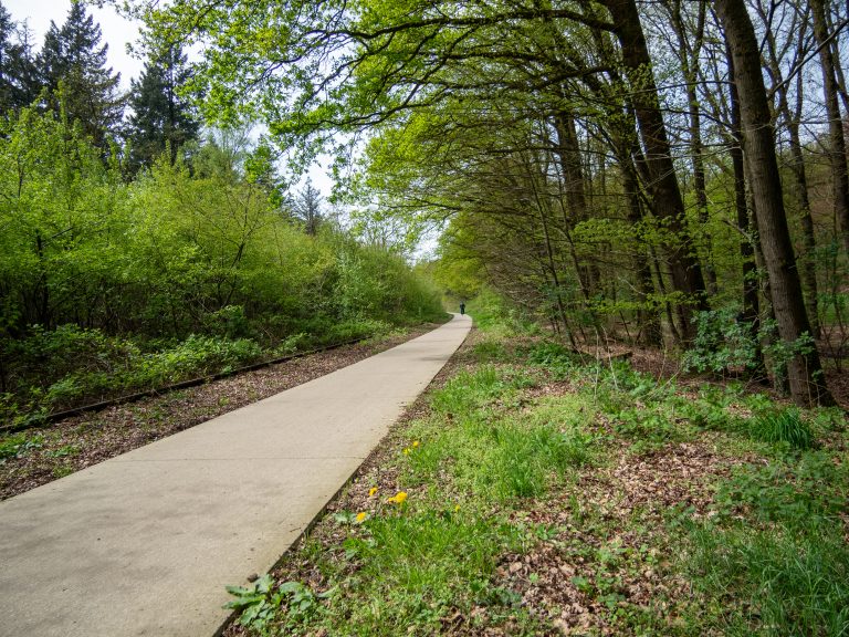 a bike path next to an abandoned trail in the woods, with a cyclist at the end.