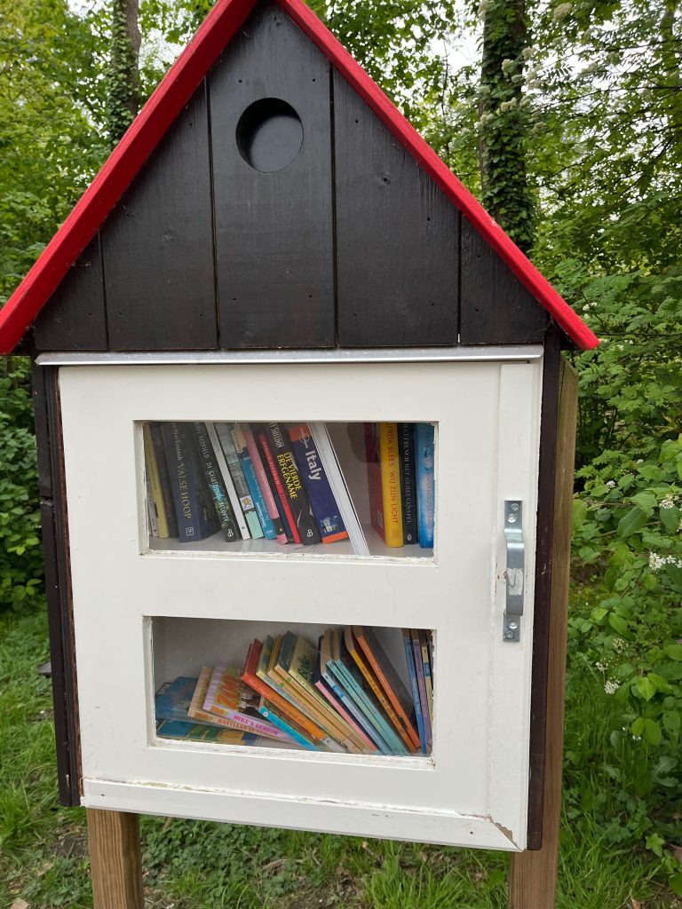 An outdoors “library” in the forest