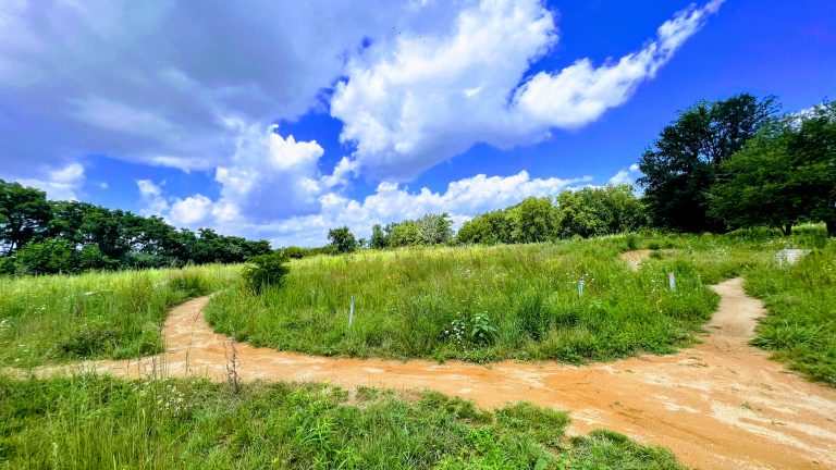 Off-road bike trails passing through and looping around native grasses (Big Marsh Park, Chicago, Illinois)