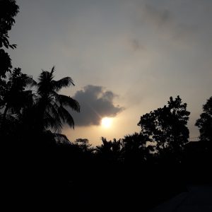 A serene sunset with the sun partially obscured by clouds, casting a warm glow over silhouettes of tropical trees and palm trees against a dusky sky.