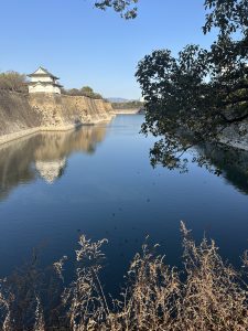 A serene landscape with a traditional Japanese castle overlooking a calm river, surrounded by trees and bushes.