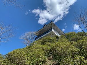 Majestic pagoda perched on a hill, amidst trees and clouds at Mangi Joshi Park.