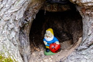 A gnome in a tree hole with a heart in his hand
