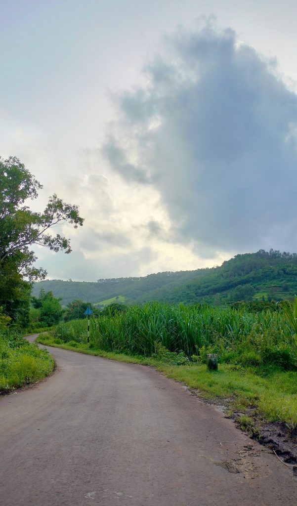 Road leading a village, located near hills covered by greenery.