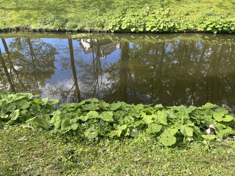 A moat with the reflection of a monument in the water