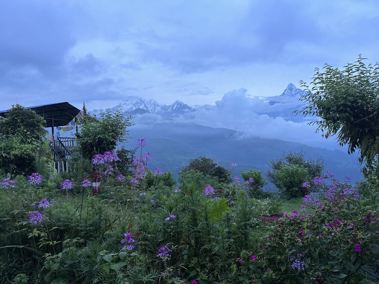 Snow-capped mountains in the background under a cloudy blue sky. In the foreground is a small wooden building with prayer flags. There are purple flowers in the grass.