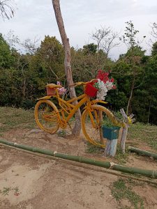 View larger photo: A bicycle repurposed as a flower stand. The bicycle has been painted yellow. Flowers are behind the seat and in a basket on the front.