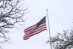 American flag among trees