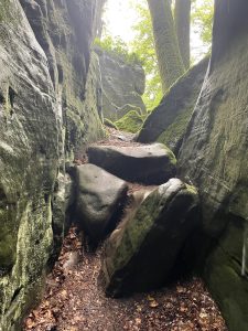 A rocky path in the forest