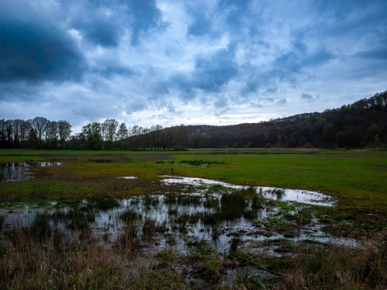 A flooded grassland with reflective standing water under a cloudy sky, framed by trees in the background at the Deeps (De Diepen) nature reserve, Milsbeek, The Netherlands.