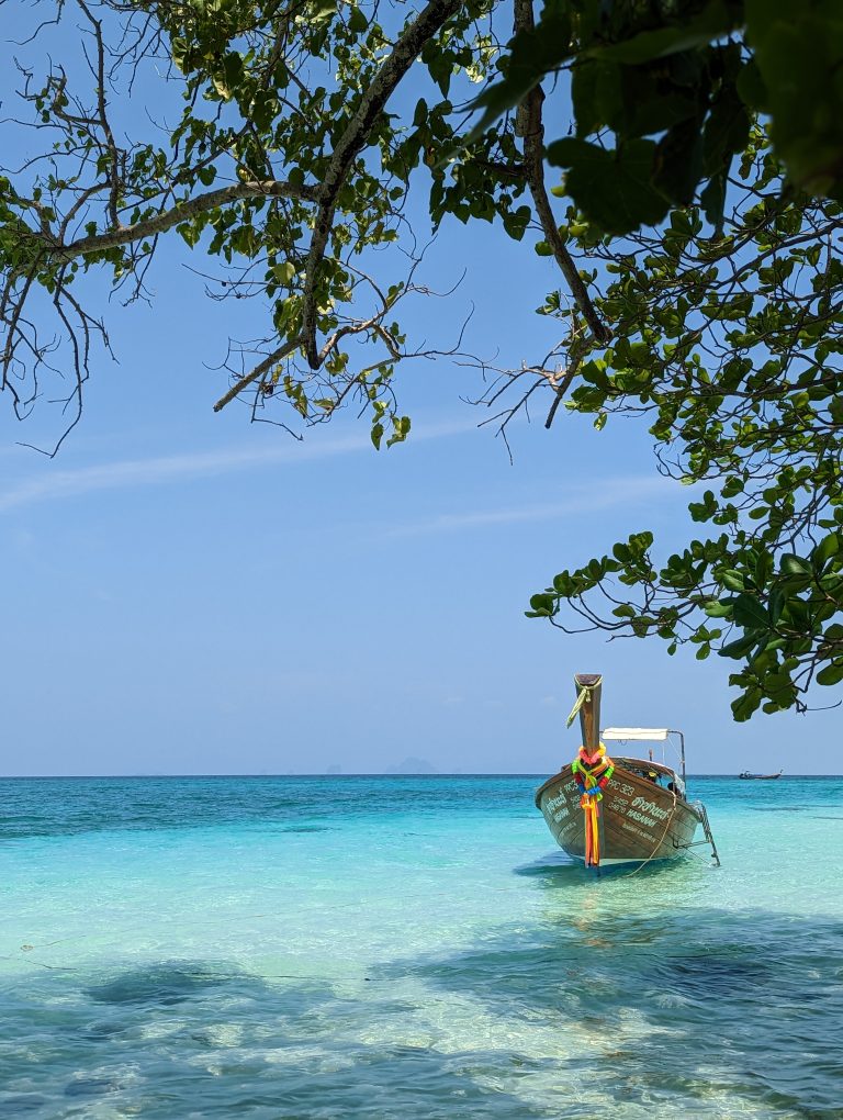 Brown boat on the sea with tree branches and leaves at the top