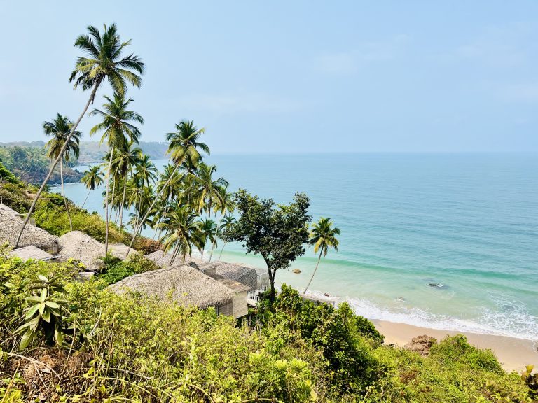 Tropical beach coastline of Palolem Beach, Goa, India with lush greenery and palm trees overlooking a turquoise sea under a clear blue sky.