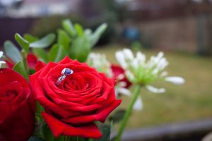 Engagement ring on a rose in a garden