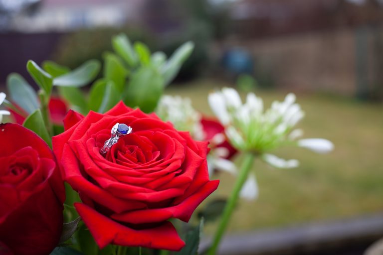 Engagement ring on a rose in a garden