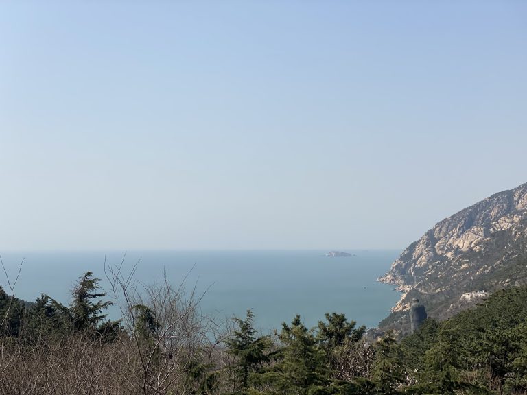 A scenic view featuring a calm sea overlooked by a rugged coastline with forested slopes and a clear sky. A small island is visible in the distance.