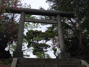 Torii, traditional Japanese stone gate surrounded by trees