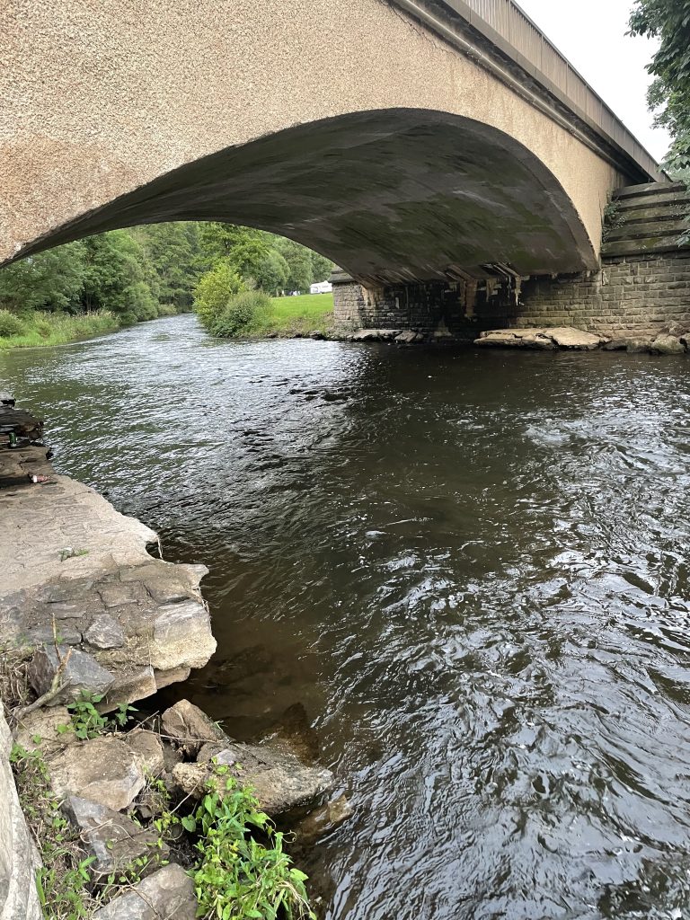 A river under a bridge with bushes and trees in the background