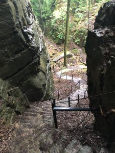 Stairs downwards in the forest