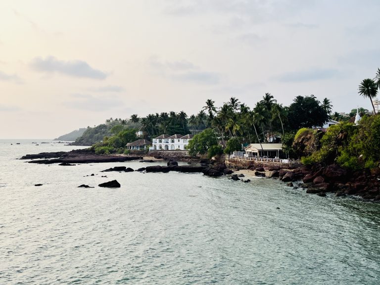 Coastal scenery of Dona Paula, Panji, Goa, India with a calm sea, rocky shoreline, and lush greenery surrounding white buildings among palm trees under a hazy sky.