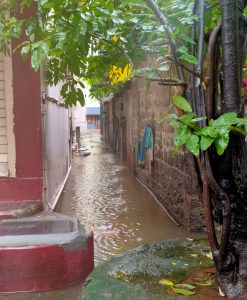 A flooded narrow alley with water halfway up the doorways, greenery overhanging from the sides and laundry hanging on a line. Kolhapur flood in 2021