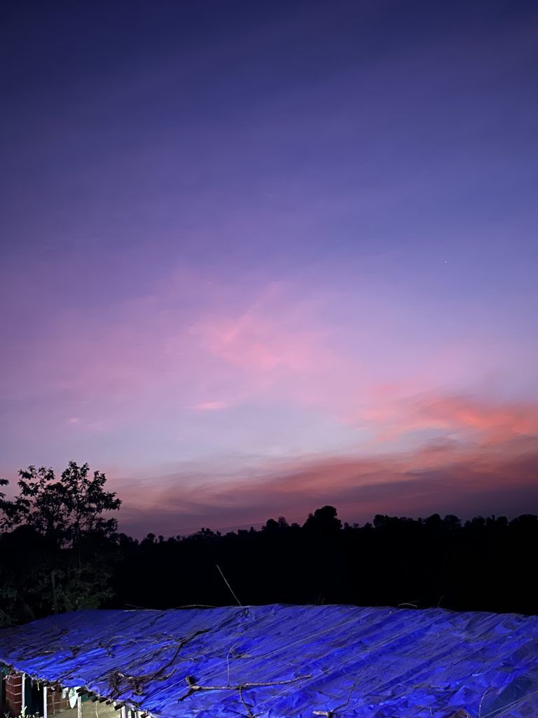 Sunset sky over a forest