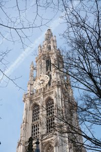 View larger photo: Cathedral of Antwerp looking up through the trees at the spire