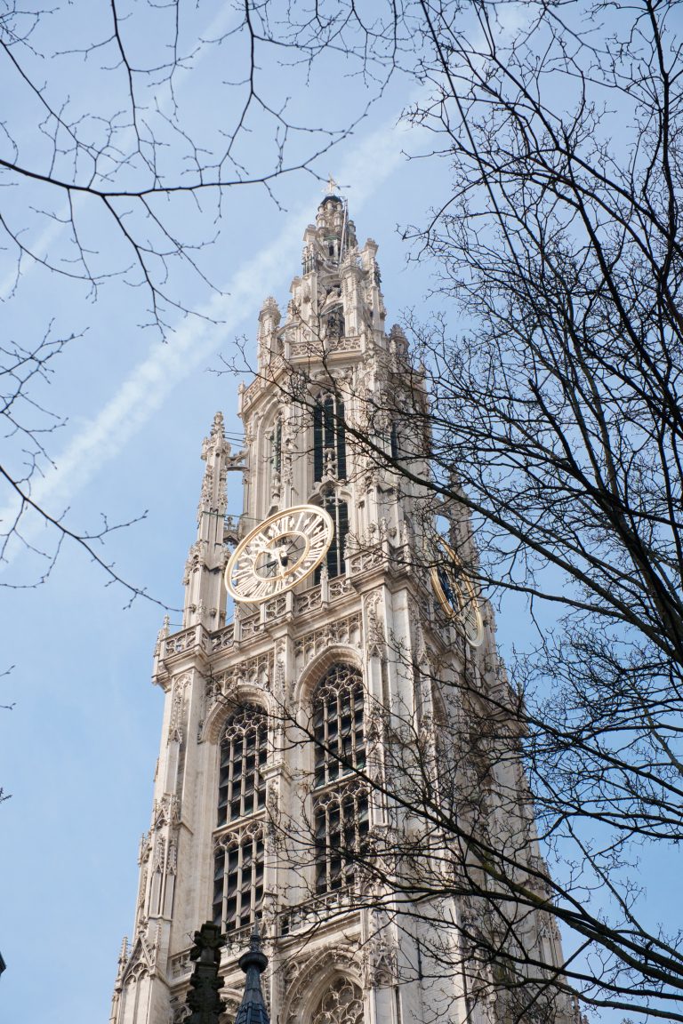 Cathedral of Antwerp looking up through the trees at the spire