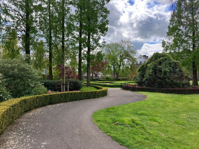 Walking path through grass and trees in a neighborhood