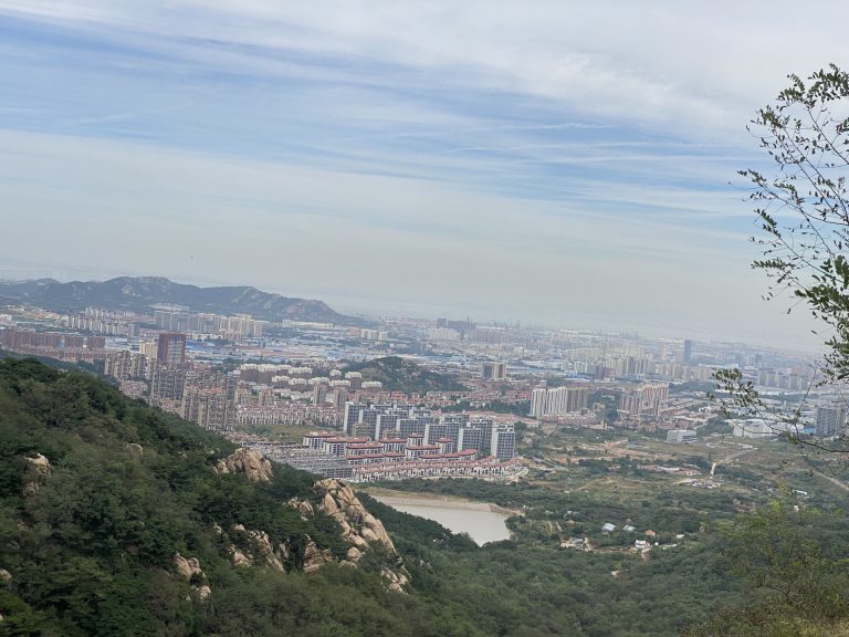 A panoramic view of a densely built urban area with numerous high-rise buildings seen from a vantage point in the hills, with greenery in the foreground and slight haze in the sky.