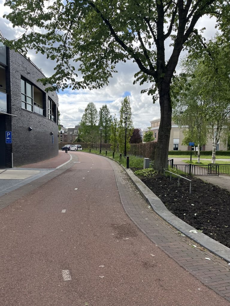 A bicycle path beside a building and trees