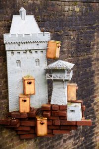 A lot of bird houses tight to a wall