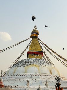 A view of famous Nepali tourist destination called Boudha. It is also listed in the world heritage site.The view consists of flying pigeons around the stupa.