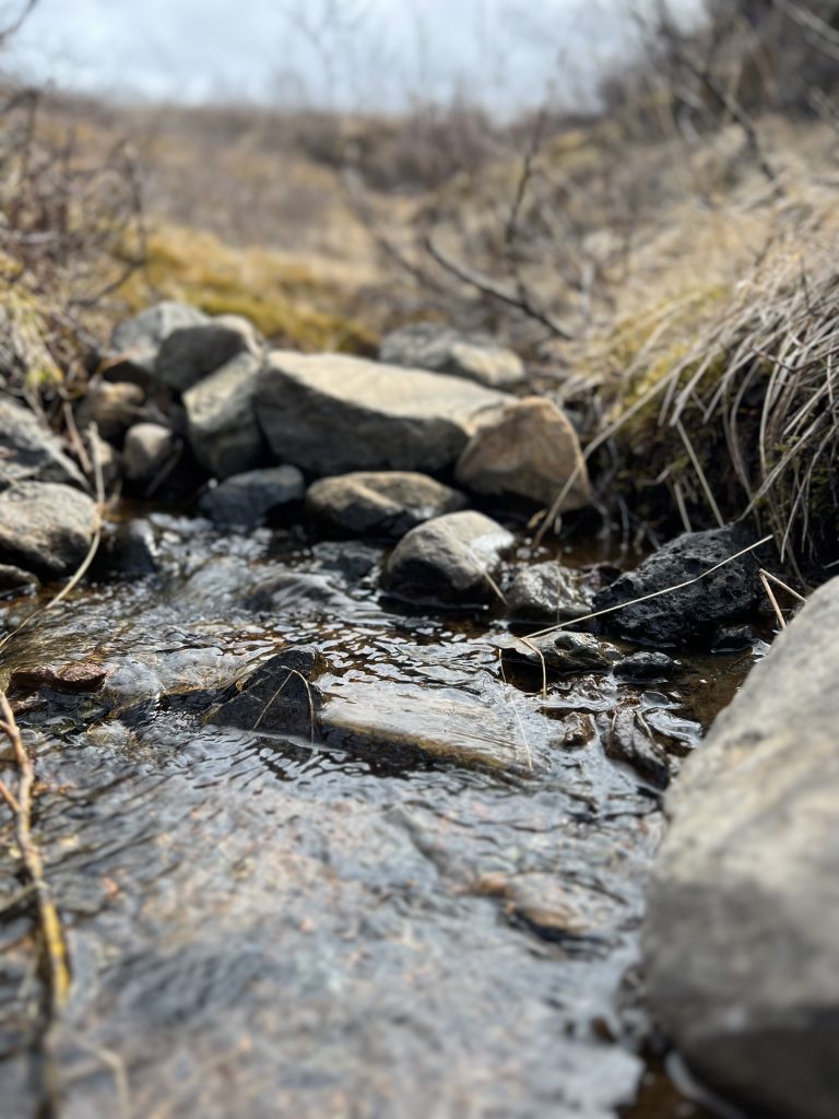 Trickling stream with straw grass to the side and small rocks within the stream leading away from Svartifoss (Vatnaj?kull National Park, Iceland)