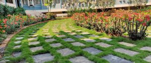 A creative touch: a checkered border made of lawn adds charm to the interior garden.
