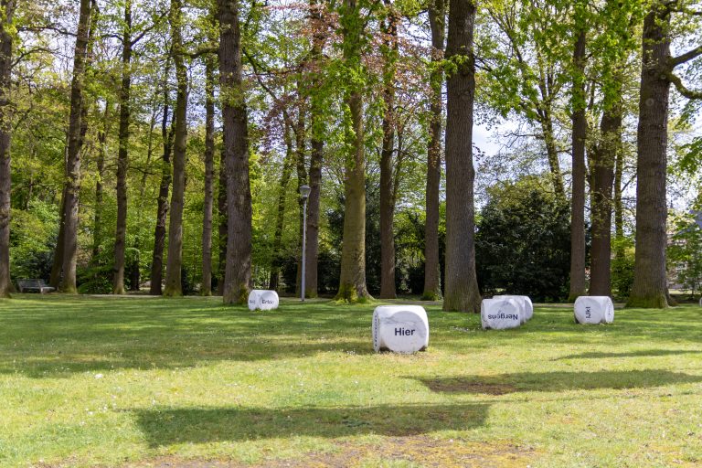 Cubes with Dutch words, in the grass between trees