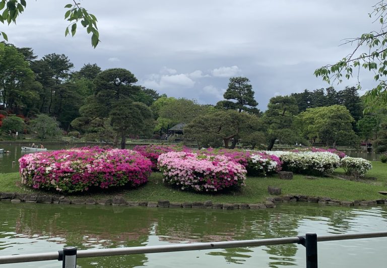 Artificial island full of flowers inside a pond in Chiba Park, Chiba City, Chiba Prefecture