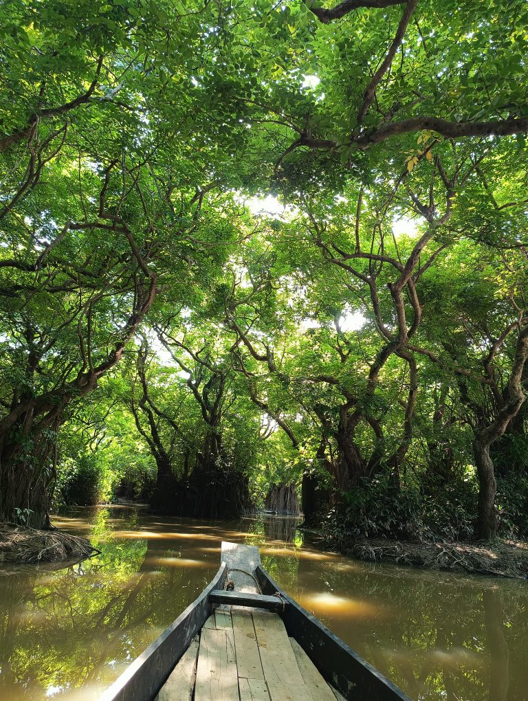 A wooden canoe travels along a calm, muddy river flanked by dense, lush green trees with thick canopies. Sunlight filters through the leaves, casting a serene glow over the water’s surface