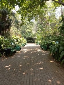 Green benches and trees along a paved walkway in Costa Rica Zoo.