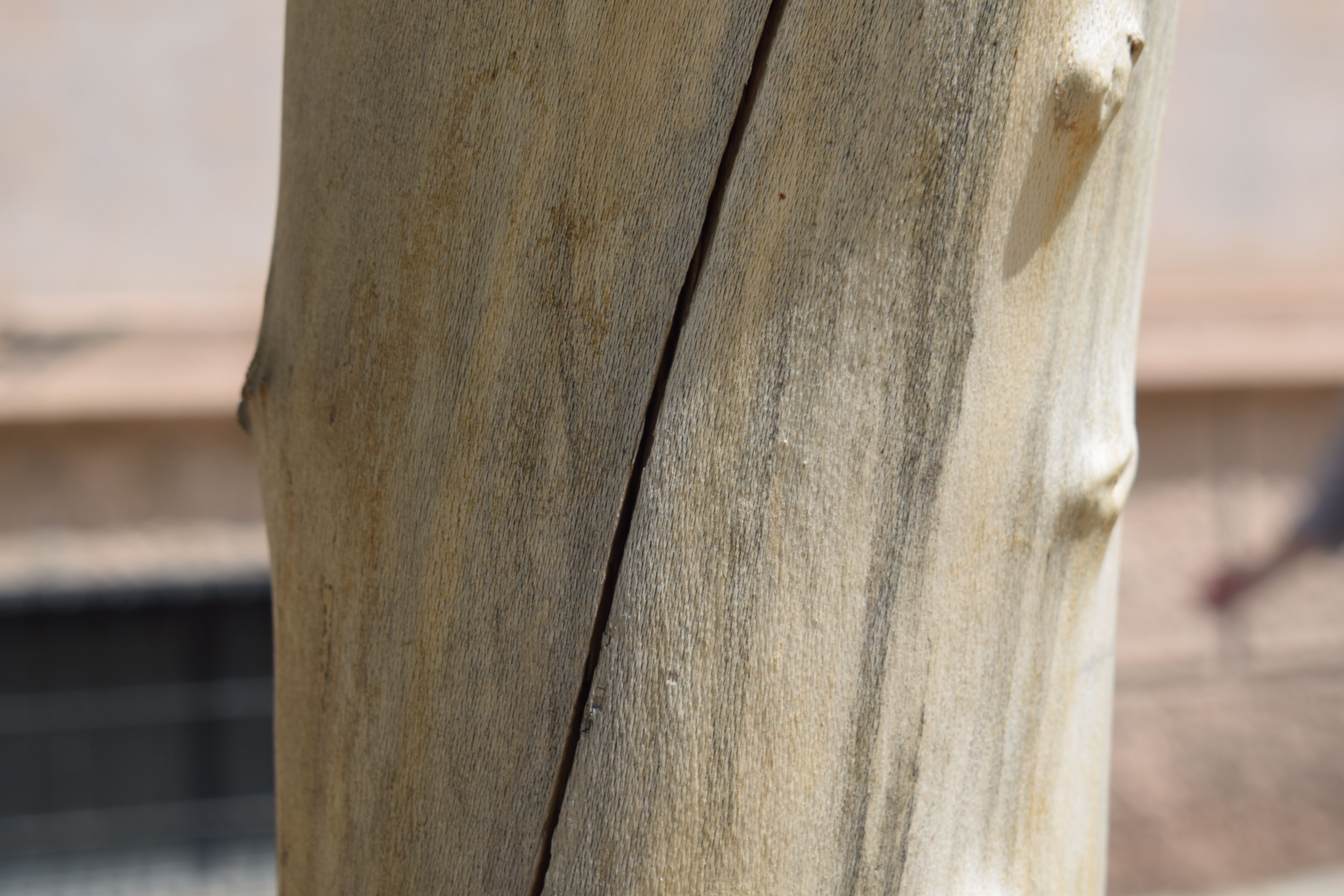 Close-up of piece of wood with a vertical crack