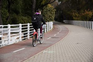 Woman riding a bicycle on a bike lane by a white iron fence
