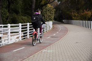 Woman riding a bicycle on a bike lane by a white iron fence