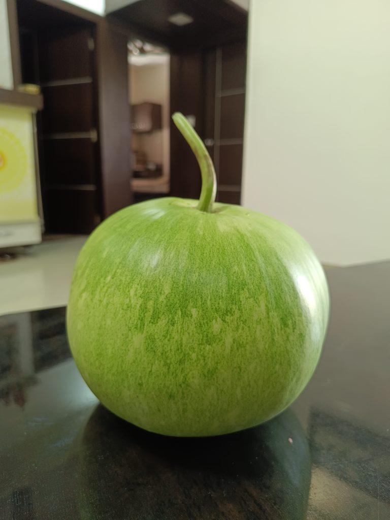 A close-up of a green rounded bottle gourd placed on a dark surface indoors.