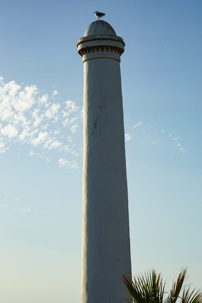 A tall white lighthouse with a seagull perched on its dome top against a clear blue sky with a few clouds.